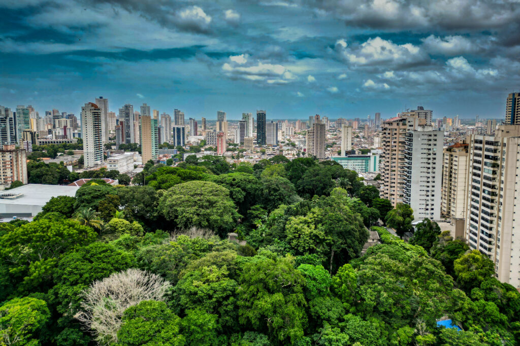 JORNALISMO AMBIENTAL - POR DENTRO DA COP30 